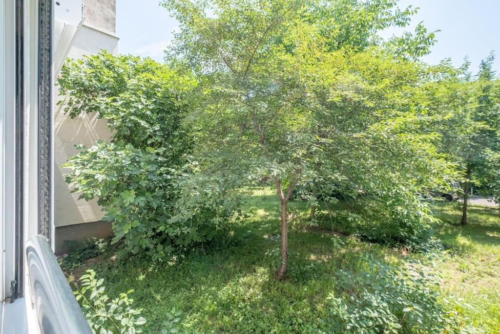 Apartment Location, Brand New 3 Bdrm & Free Parking *