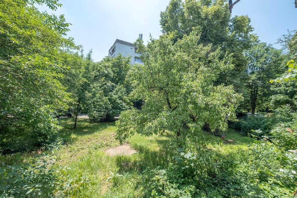 Location, Brand New 3 Bdrm & Free Parking Apartment Sofia