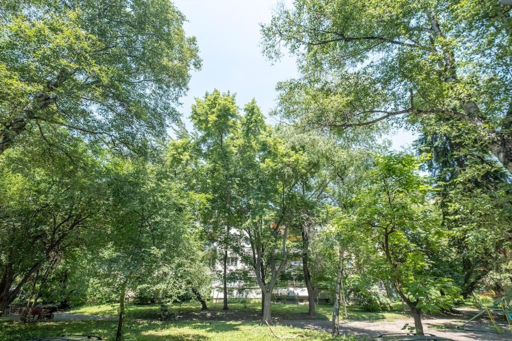 Location, Brand New 3 Bdrm & Free Parking * Sofia